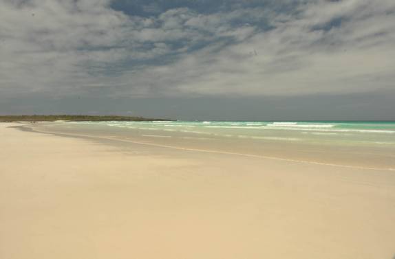 A belíssima praia de Tortuga Bay, na Ilha de Santa Cruz, em Galápagos